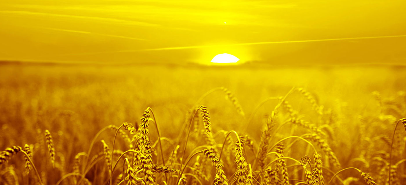 Rádi nabízíme barevná řešení